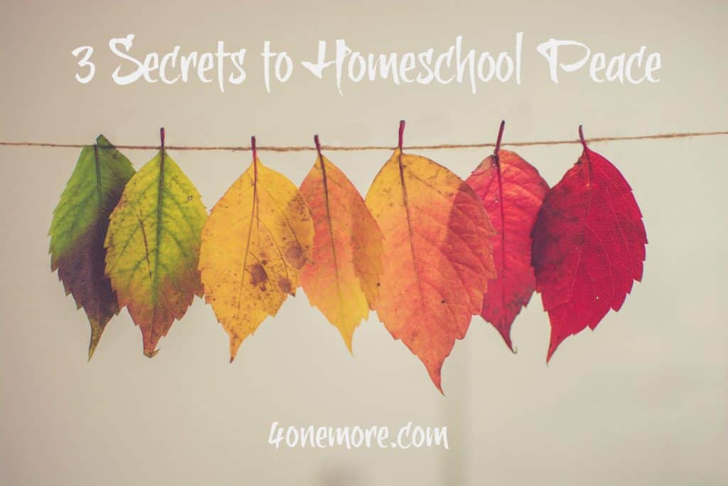 Stressed out and overwhelmed? Check out these 3 secrets to homeschool peace @4onemore.com