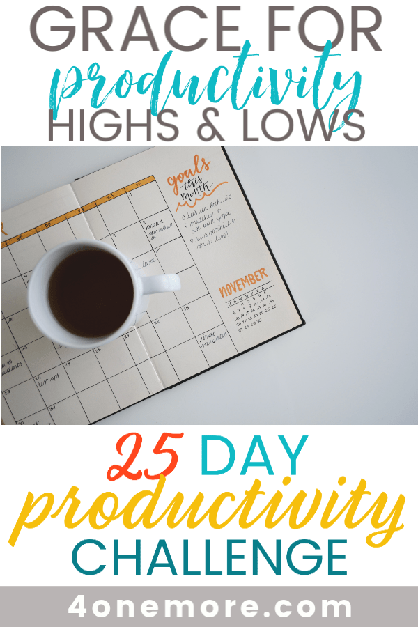 The truth is that we will not be productive all of the time.  Here's to giving yourself grace for the monthly highs & lows of productivity.