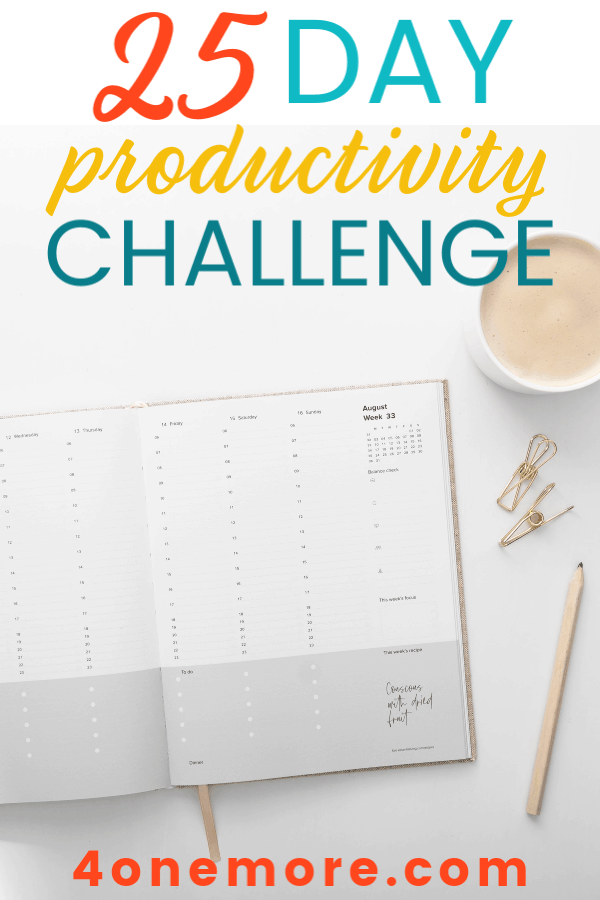 This 25 Day Productivity Challenge will help you be among the small group that crushes their goals this year.  Are you in?