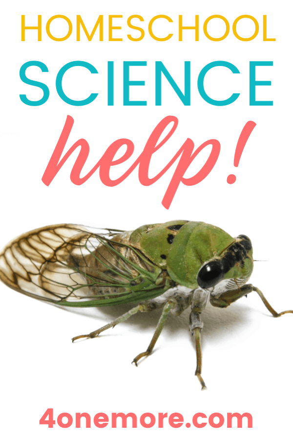 If you're a homeschooling mom who doesn't feel adequate in the sciences, you're not alone! If you need homeschool science help, this post is for you!