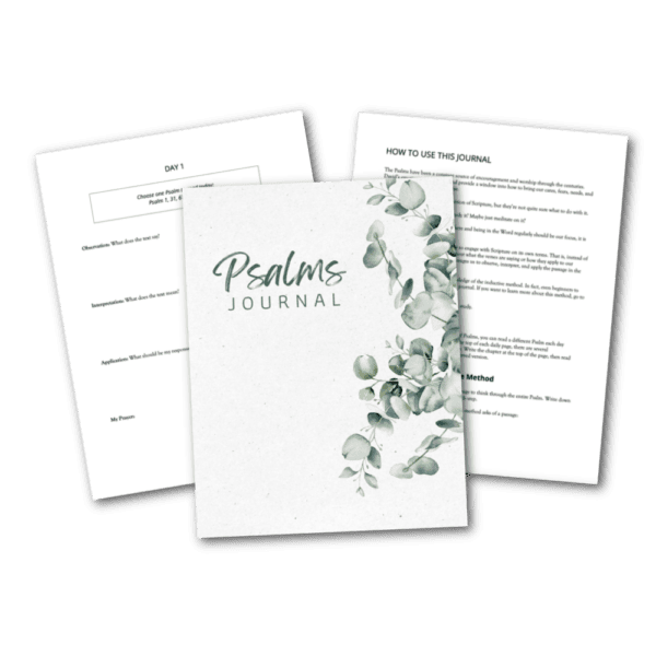 Psalms Journal: An Inductive Bible Study - Image 2