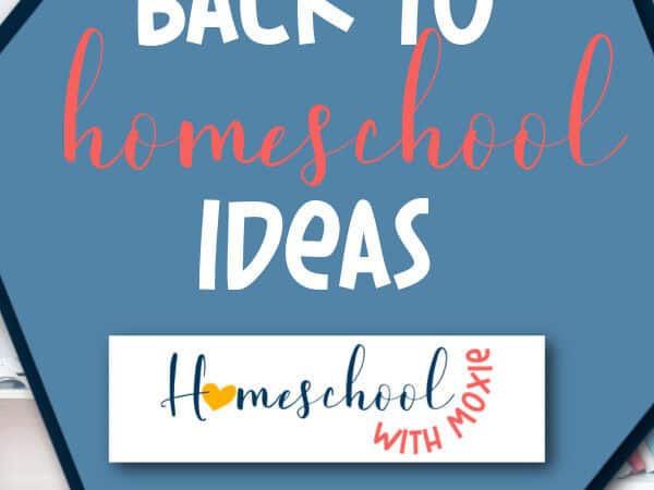 Back to Homeschool Ideas