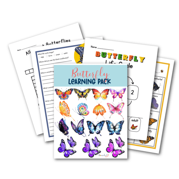 Butterfly Learning Pack