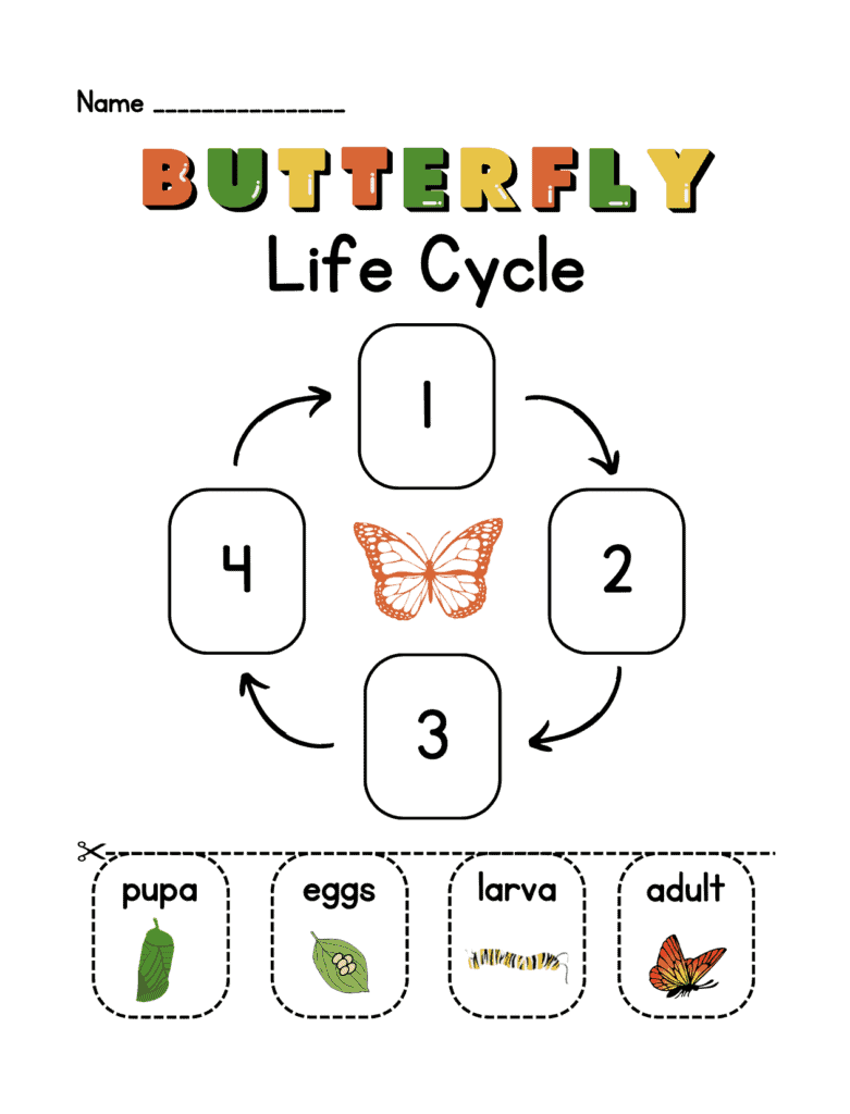 Butterfly Learning Pack - 4onemore