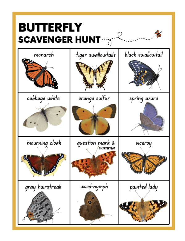 Butterfly Learning Pack - Image 3