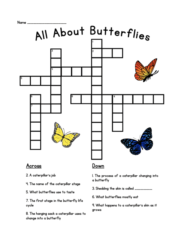 Butterfly Learning Pack - Image 5