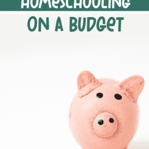 6 Ways You're Making Homeschooling Harder Than It Needs To Be