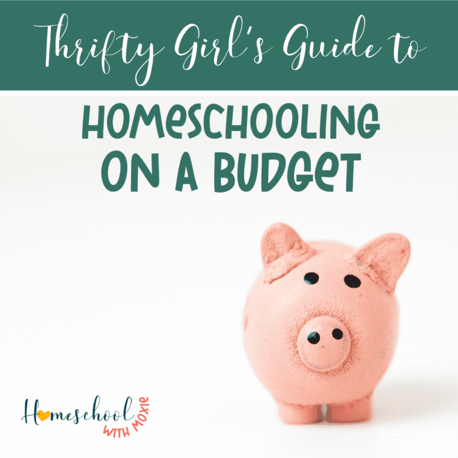 Are you worried that homeschooling will break the bank? I'll show you how to be successful with homeschooling on a budget!