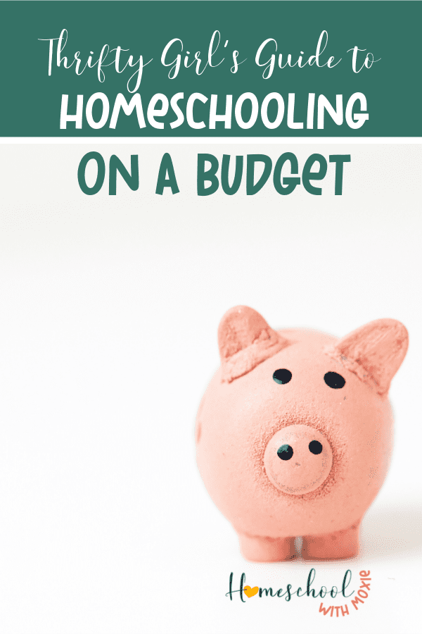 Are you worried that homeschooling will break the bank? I'll show you how to be successful with homeschooling on a budget!