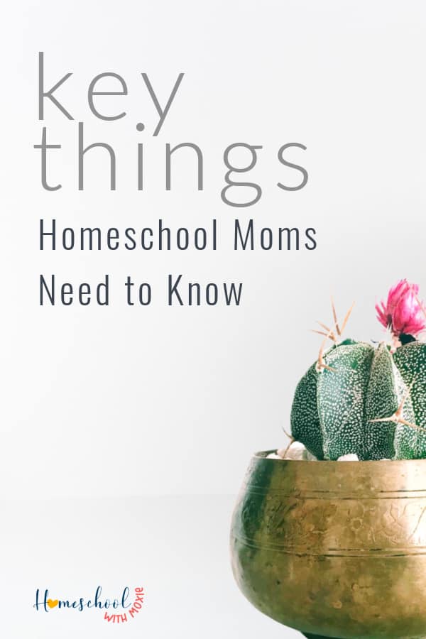 Homeschool moms don't need to be experts in everything, but there are a few key areas that need attention in order to at least curb frustration and give you the best chances for success.  Here are the key things every homeschool mom needs to know.