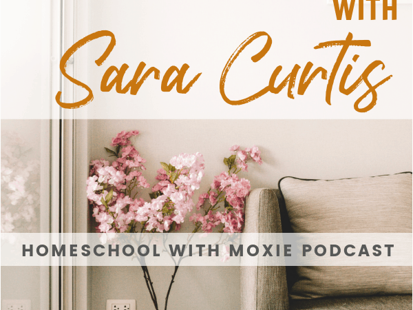 Inside Pretty Nerdy Press with Sara Curtis: HWM #90