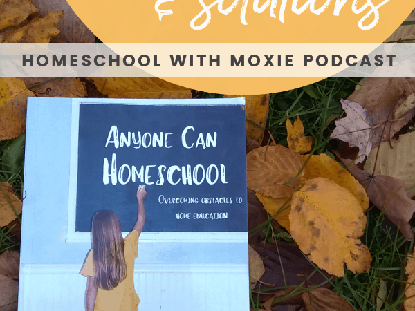 Homeschool Challenges & Solutions: Conversation with Nicki Truesdell – HWM #85